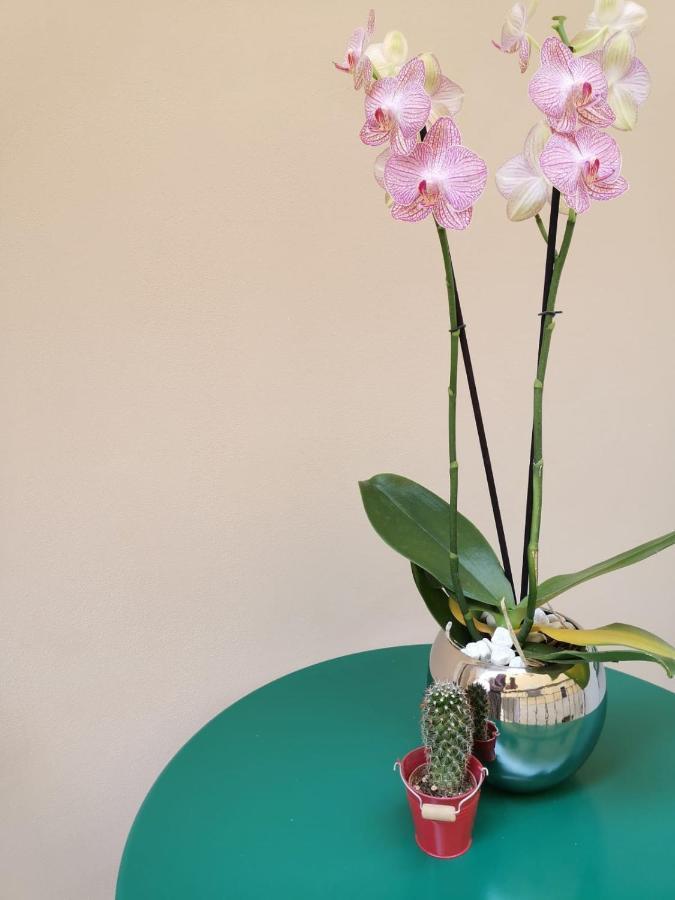 מרגריטה די סבויה Margherita Boutique Rooms מראה חיצוני תמונה